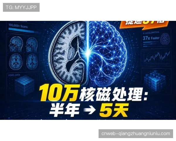 运动员健康保护新规：强制脑部MRI检查频率从一年缩短至九个月